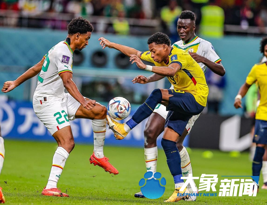 塞内加尔横扫巴西,楚阿梅尼刷新纪录 塞内加尔横扫巴西,楚阿梅尼刷新纪录