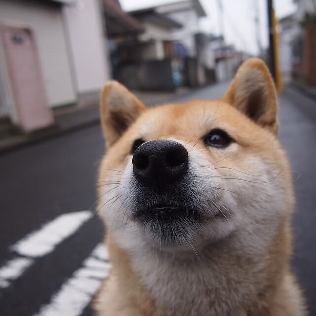 唯一性的艺术,德布劳内,当卓越成为唯一,切尔西胜利不可复制