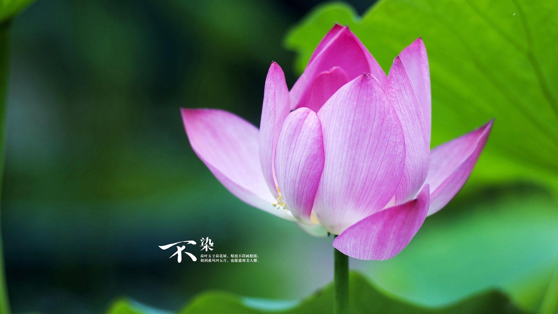 尤文雪战芬兰,迪亚斯用冰火两重奏在欧冠之夜完成加冕