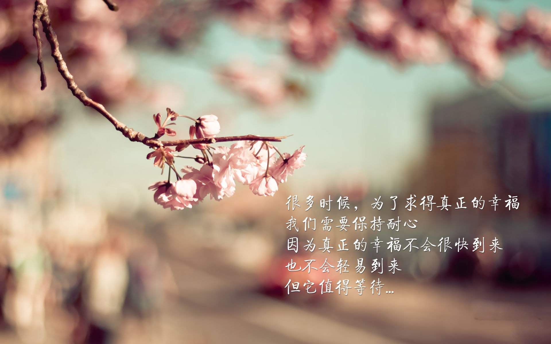 完美背后,利拉德爆砍55分之夜,个人英雄主义能否击败现代篮球?