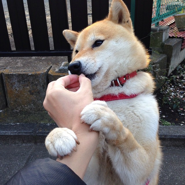 跨洋鏖战，当活塞蓝领魂遇见东方魔法，米切尔抢七夜的唯一性神迹