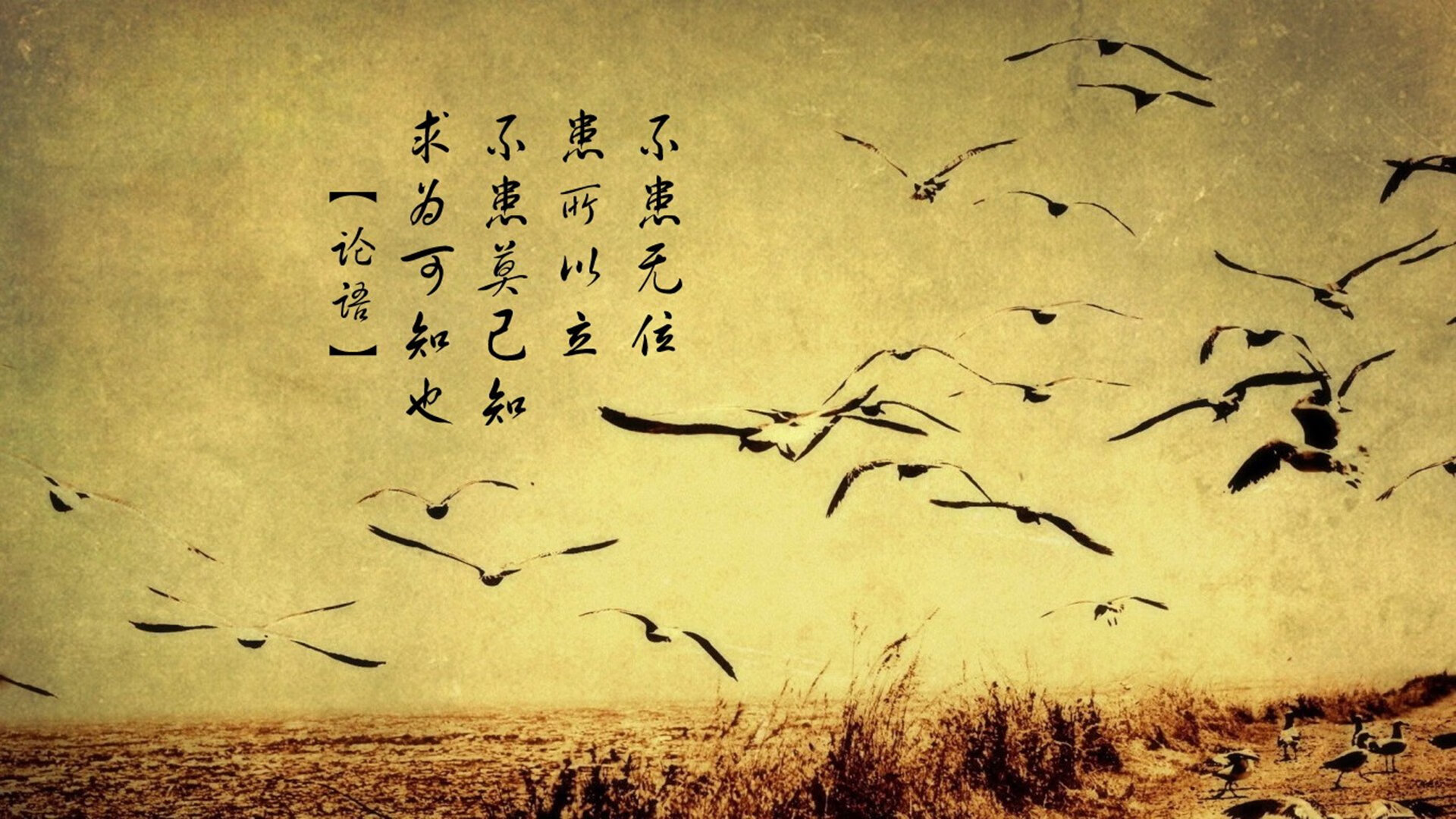 世界排名争夺战焦点战，摩洛哥提前终结巴萨悬念，唯一之战震撼足坛