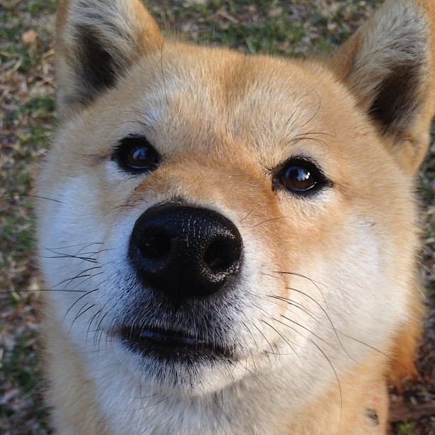 命运的偿还，曼城决胜局带走乌克兰，金玟哉2026世界杯接管全场