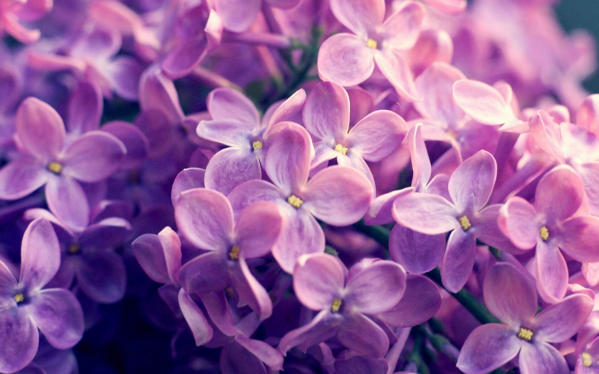 逆转引力，班凯罗在德甲争冠夜的唯一性时刻