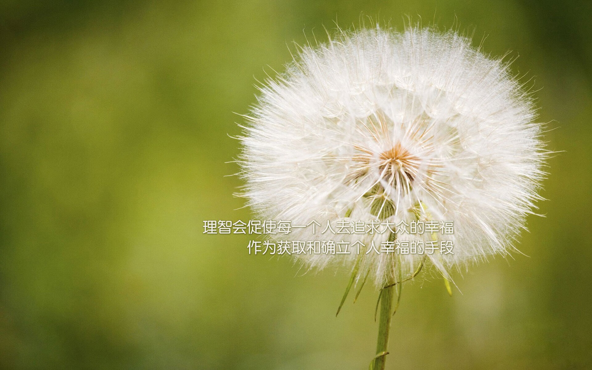 深蓝警报!活塞压哨绝杀破开不败金身 布克最后15秒化身关键先生