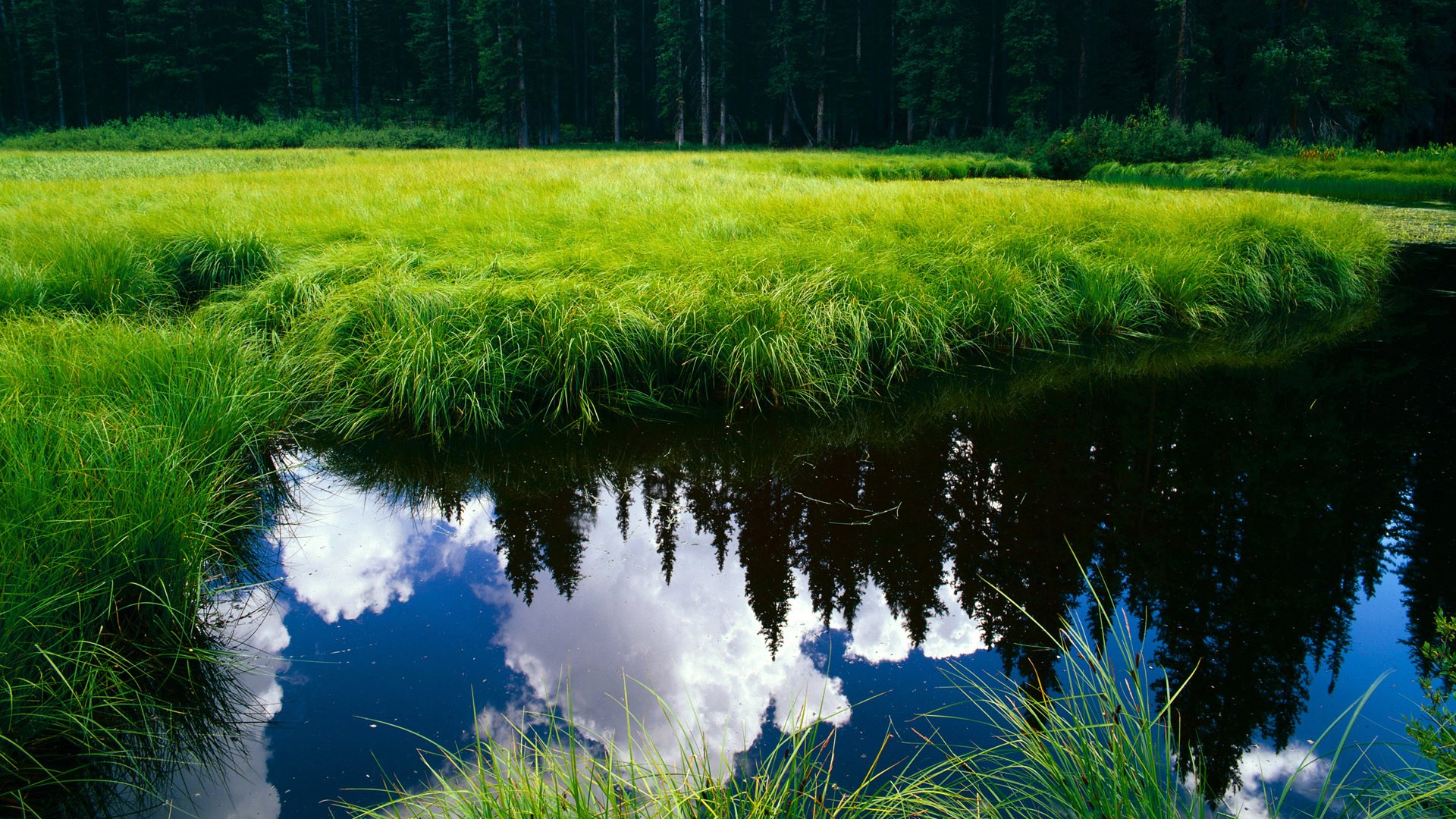 冰火双重奏，东契奇绝境封神，篮网怒涛重现窒息防守美学