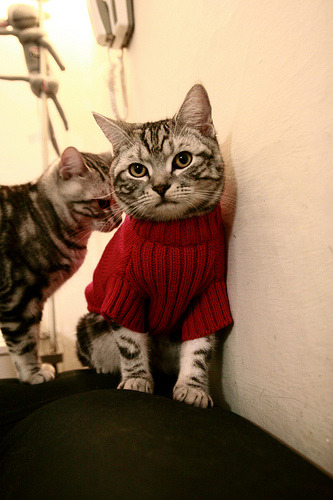 逆转！深圳魔术师的绿茵之歌