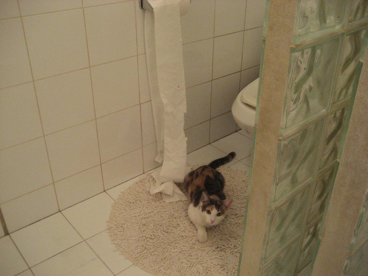 皮克，资本市场的钢铁后卫