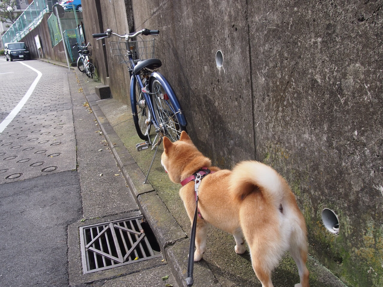 他用一场90分钟的纹身，将对手的时钟纹进自己的脉搏，记爱德华兹的欧冠导演之夜