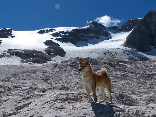 他用一场90分钟的纹身，将对手的时钟纹进自己的脉搏，记爱德华兹的欧冠导演之夜