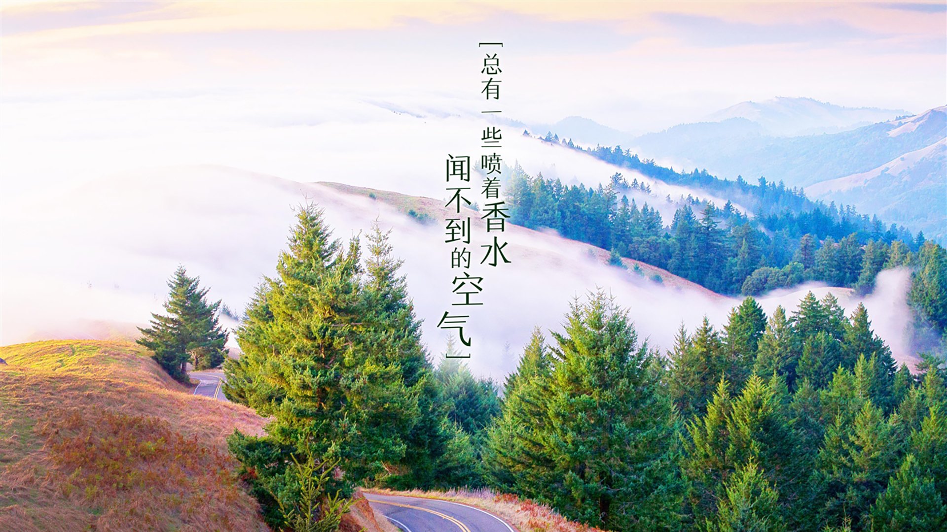 戈贝尔两罚全中！快船28分逆转太阳背后，那个被遗忘的关键先生