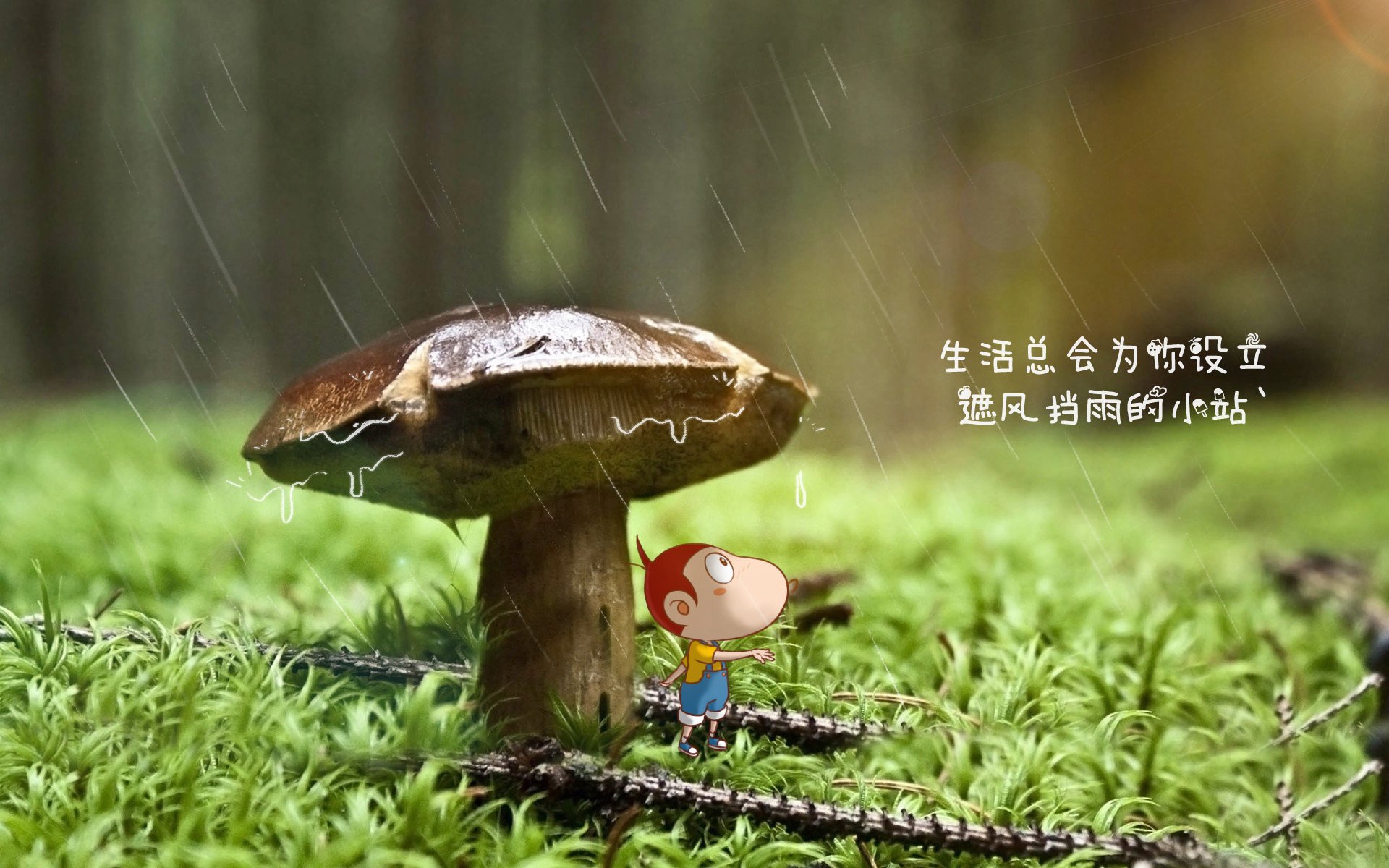 北欧无间道，当童话遇上海盗，神的剧本只写了唯一主角—2026世界杯B组传奇夜